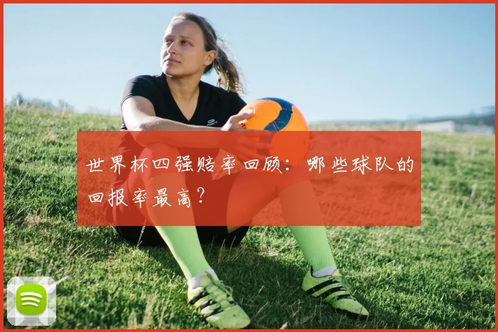 世界杯四强赔率回顾:哪些球队的回报率最高?