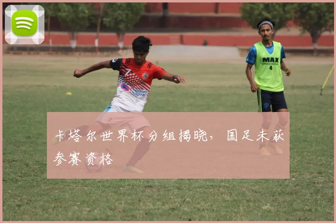 卡塔尔世界杯分组揭晓，国足未获参赛资格