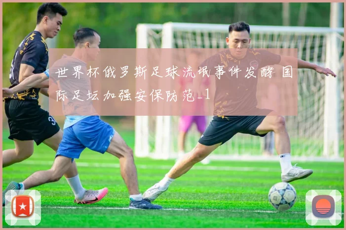 世界杯俄罗斯足球流氓事件发酵 国际足坛加强安保防范_1