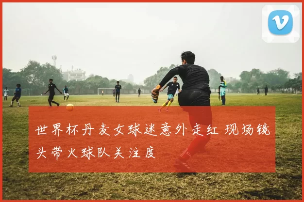 世界杯丹麦女球迷意外走红 现场镜头带火球队关注度