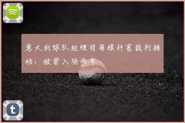 意大利球队经理将角旗杆塞裁判裤裆，被禁入场两年