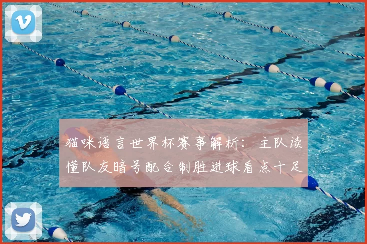 猫咪语言世界杯赛事解析：主队读懂队友暗号配合制胜进球看点十足